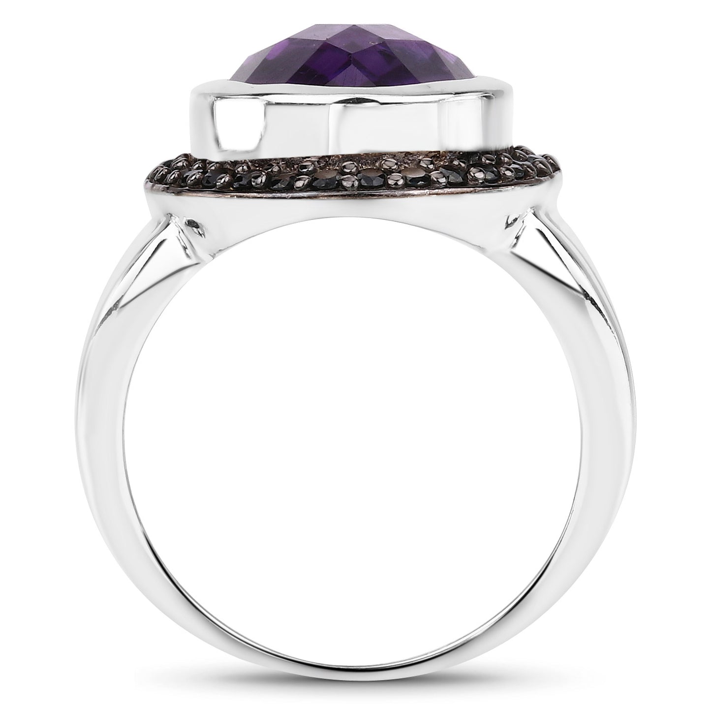 r8338aspinel-view1-image