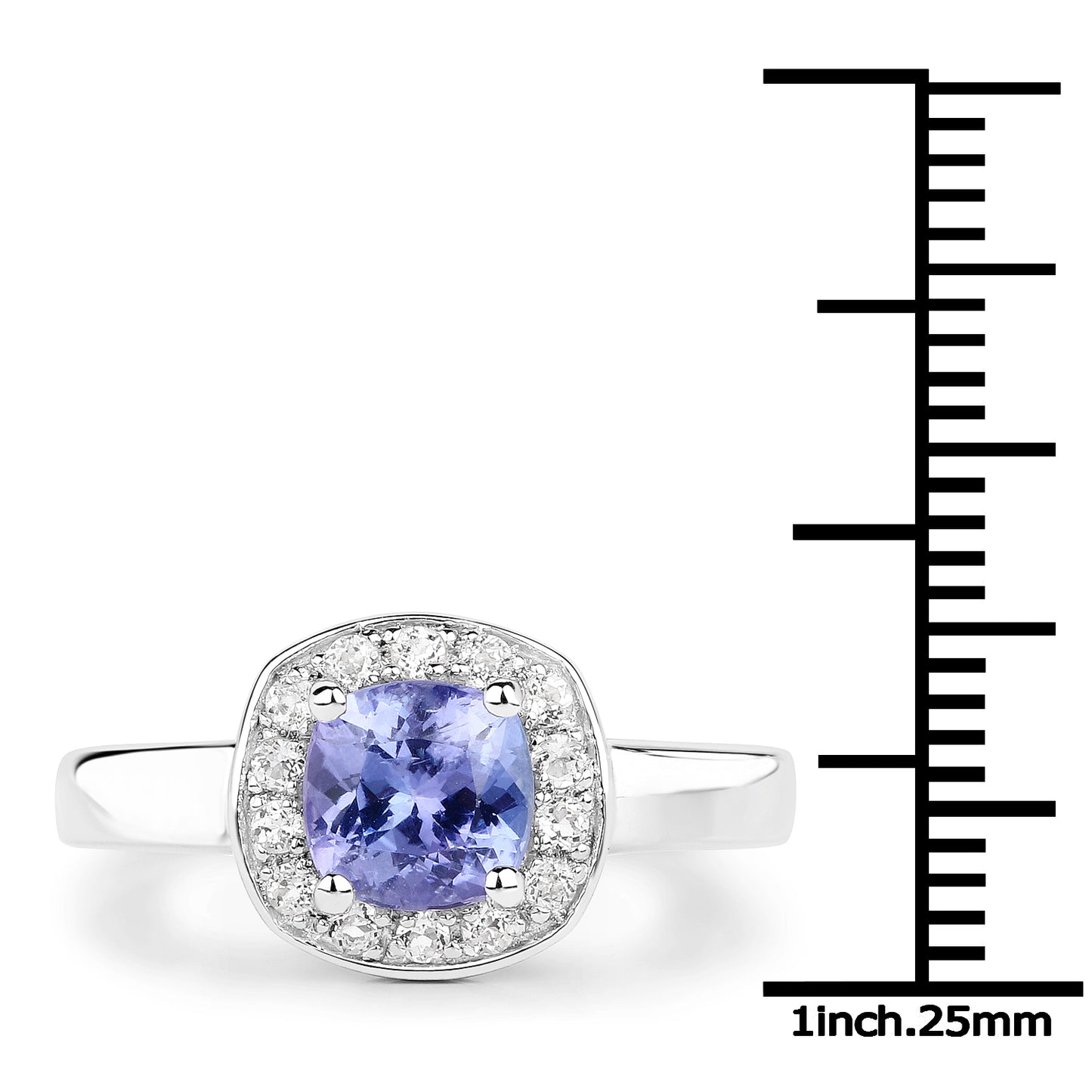 r23371tanwt-view2(inc)-image