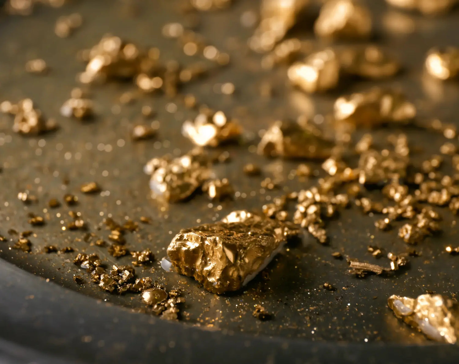 Gold GOLDISSEYA
